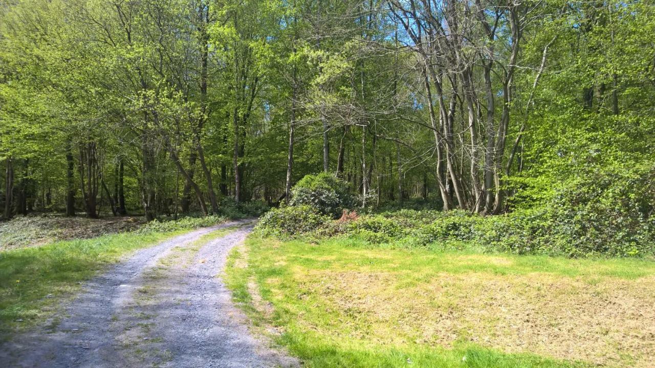 Apartmán Le Bois Bryas Revin  Exteriér fotografie
